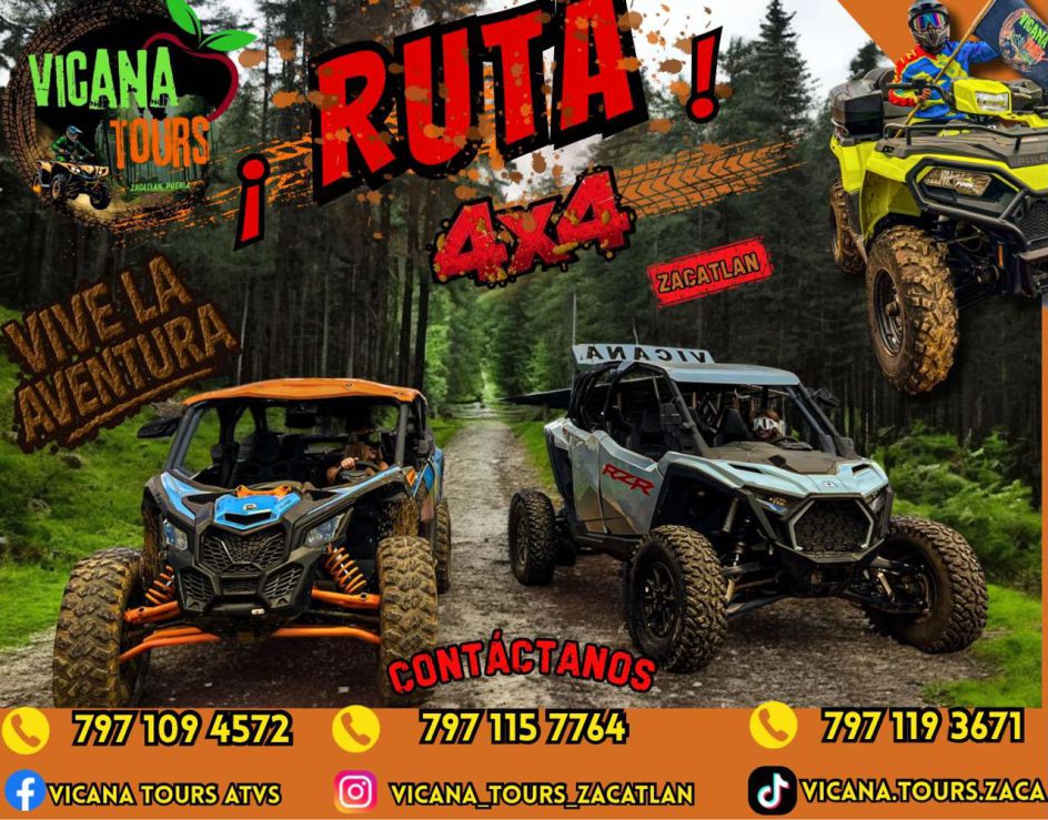 Vicana Tours